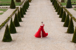 proposal in Paris