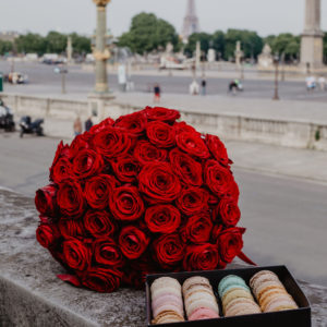 proposal in paris proposal in paris