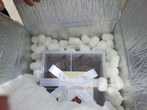 original-ideas-for-your-wedding-in-france